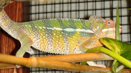 Picture 6-29-09 906.jpg