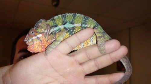 Picture 6-29-09 952.jpg