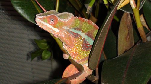 Picture 6-29-09 973.jpg