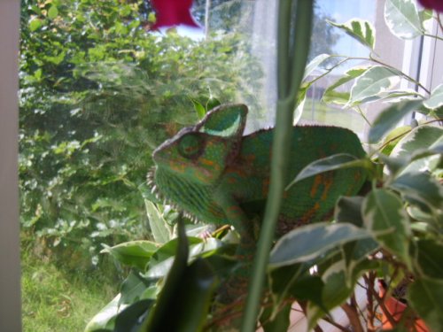 let the sun shine 005.JPG