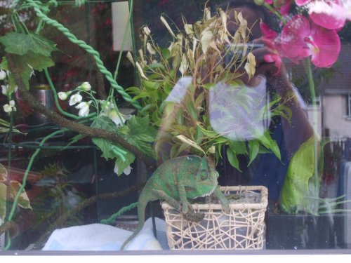 3rd day out! 006.JPG