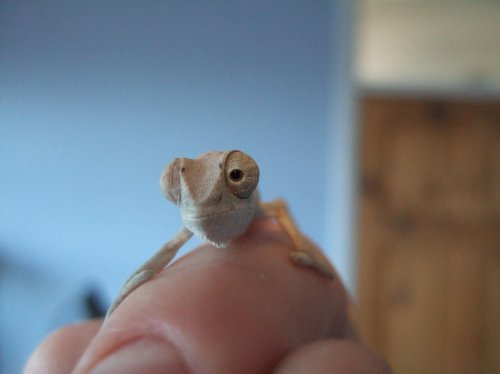 new guy1.jpg