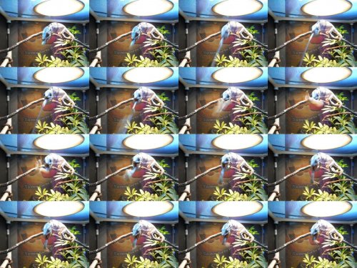 DSCN0020.jpg