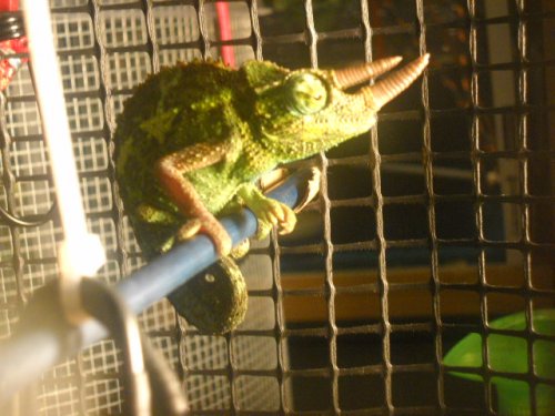 DSCN8700.jpg