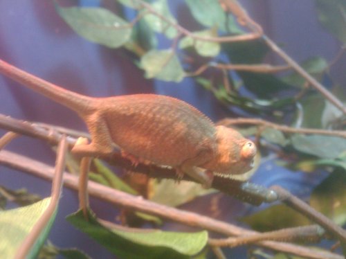 2010-04-18 15.19.38.jpg