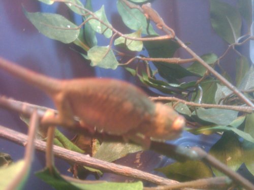 2010-04-18 15.19.32.jpg