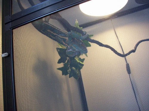 100_0455.jpg