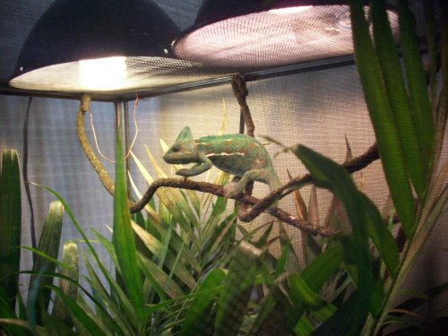 100_0456.jpg