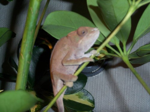 100_0563.jpg