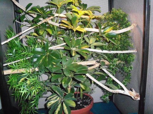 100_0450.jpg