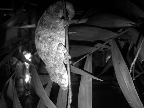 IMG00171-20100422-2223.jpg