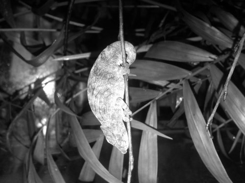 IMG00168-20100422-2222.jpg