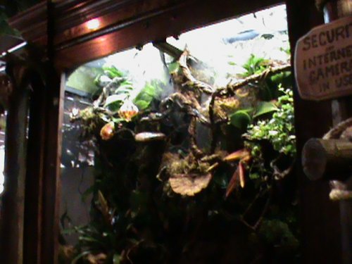 04-09-10 185.JPG