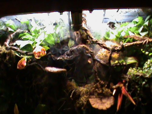 04-09-10 187.JPG