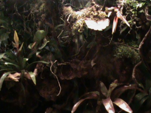04-09-10 188.JPG