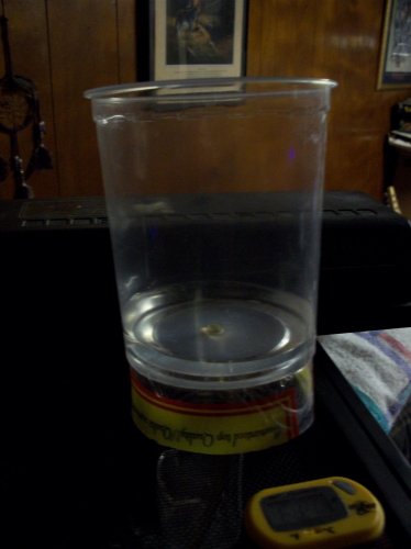 100_3537.jpg