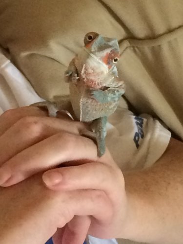 image.jpeg