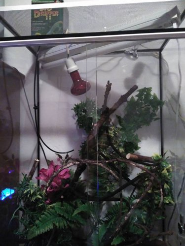 terrarium2.jpg