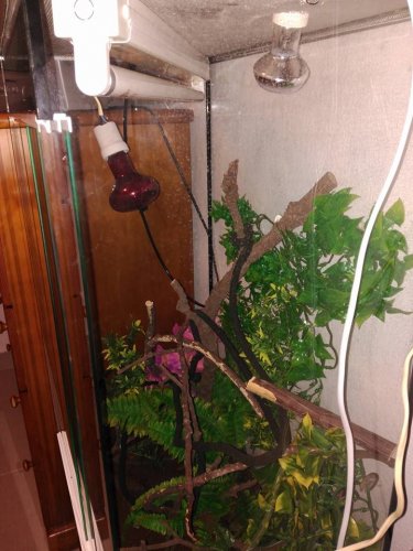 terrarium3.jpg