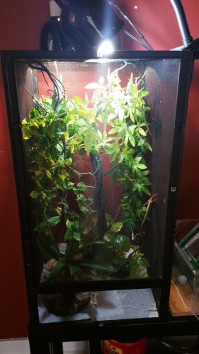 20160823_120843.jpg