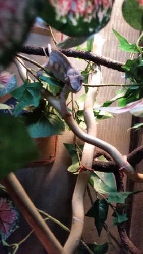 20160823_184509.jpg