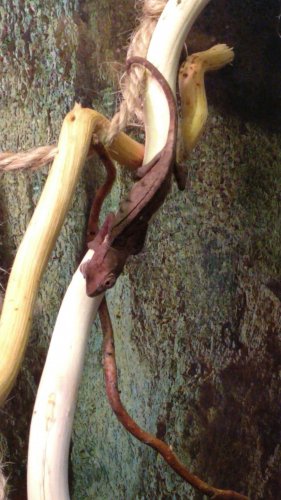 IMG_20160827_124522.jpg