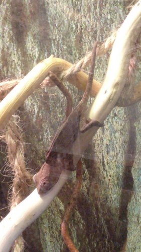 IMG_20160827_124543.jpg