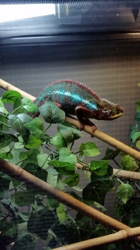 20160703_162653.jpg