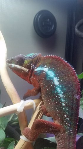 20160811_180221.jpg