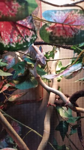 20160823_184457.jpg