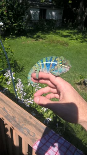 WP_20160822_11_07_21_Pro.jpg
