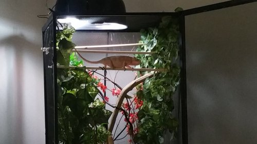 20160828_173132.jpg