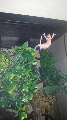 20160727_203156.jpg