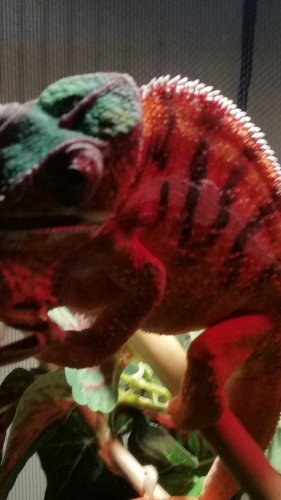 20160830_183311.jpg