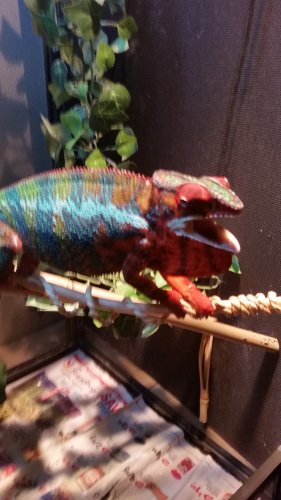 20160903_160344.jpg