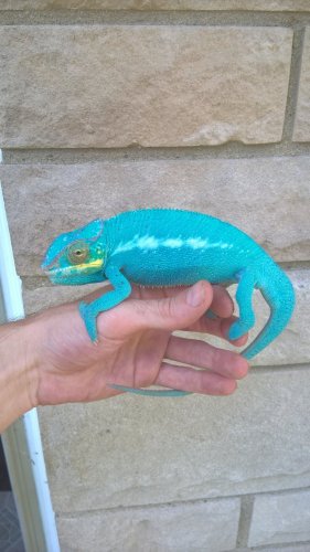 WP_20160802_14_33_23_Pro.jpg