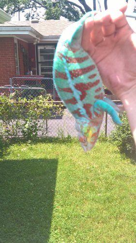 WP_20160724_13_38_39_Pro.jpg