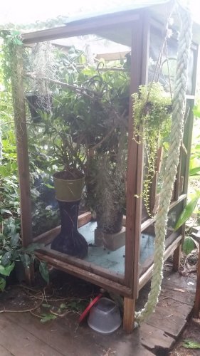 20160909_160356.jpg