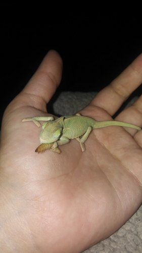 20160910_222409.jpg