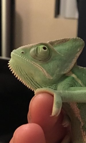 FullSizeRender 2.jpg