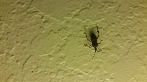 20160913_023203.jpg
