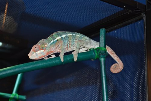 DSC_0005.JPG