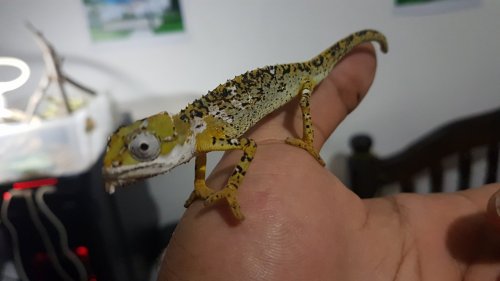 20160919_231055.jpg
