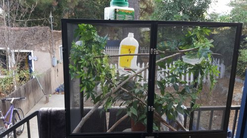 20160920_160948[1].jpg