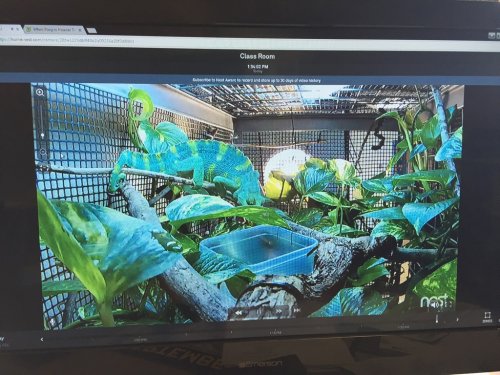 TacoCam.jpg
