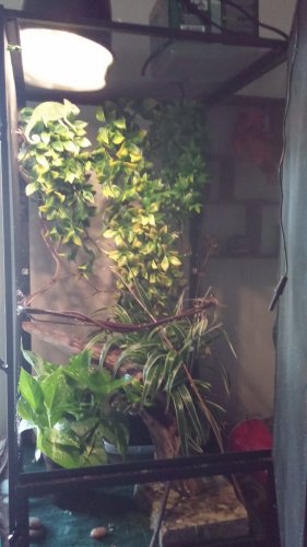 20160925_140651.jpg