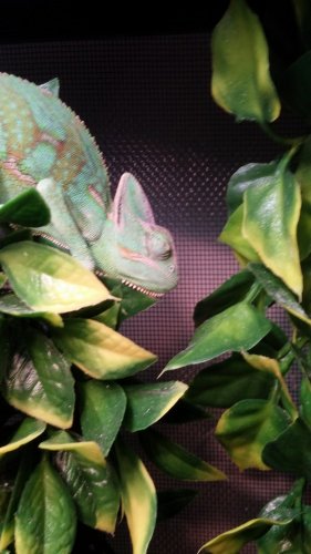 20160925_182957.jpg