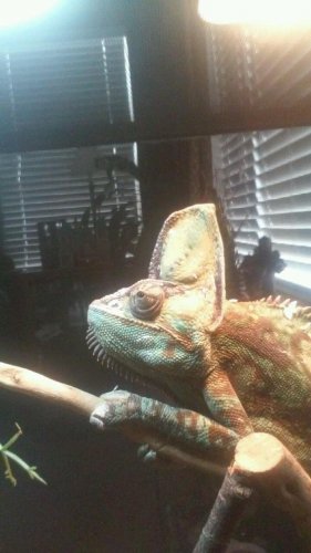 20161003_170723.jpg