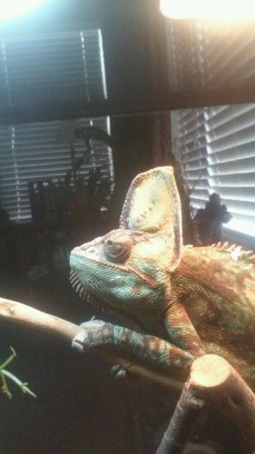 20161003_170725.jpg