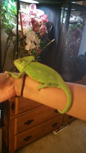 20161004_144316.jpg